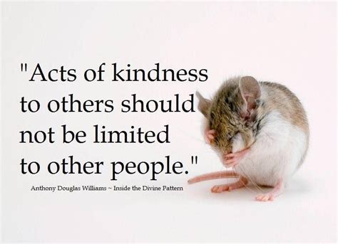 Pin By Monique Perez On Inspire Kindness To Animals Random Acts Of