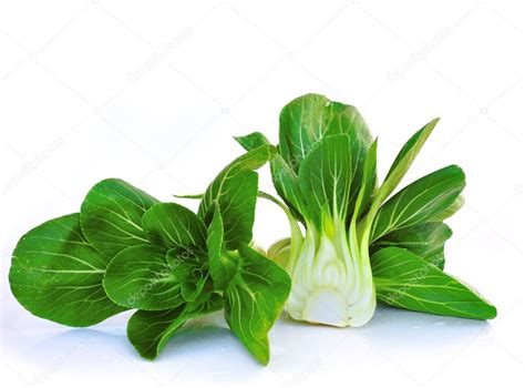 Bok Choy Chinese Cabbage Isolated On White Stock Photo By ©sommaill