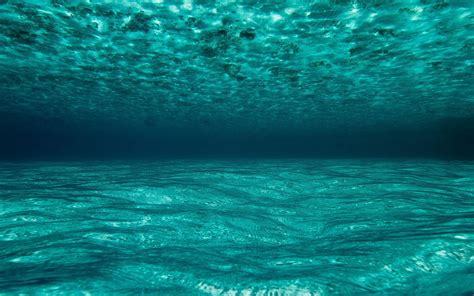 Underwater Ocean Wallpapers - Top Free Underwater Ocean Backgrounds