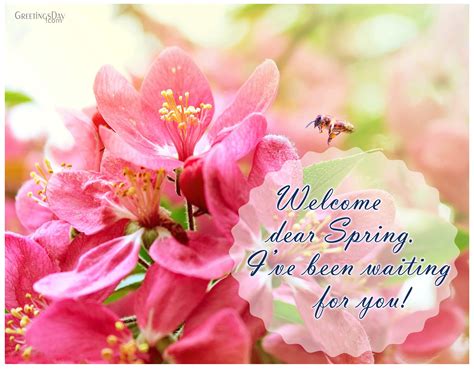 Welcome Spring Online Card Images Animated Pictures And Quotes