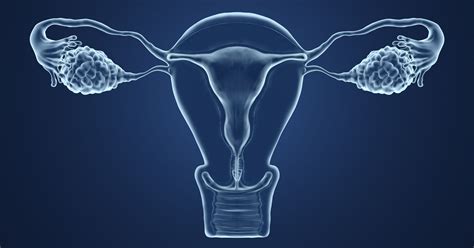 Artificial Ovary May Help Some Cancer Patients Who To Become Pregnant