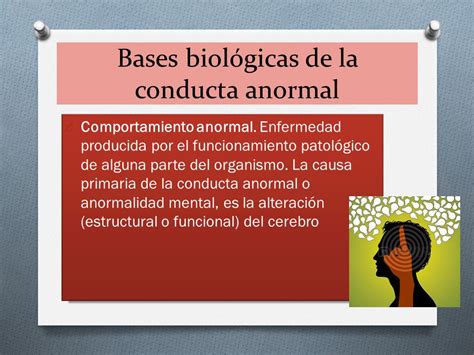 ᐈ Bases Biológicas De La Conducta Anormal Psicorevista