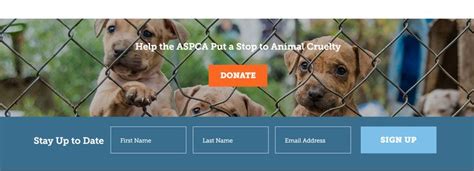 Pin By Lisa Mosow On Web Forms Aspca Address Sign Web Forms