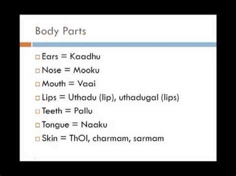 Skull, temple, ear, forehead, face, adam's apple , shoulder, nipple, breast, armpit, thorax, navel, abdomen, pubis, groin, knee, foot, toe, ankle, instep. Learn Tamil through English - Lesson 11 - Parts of the ...