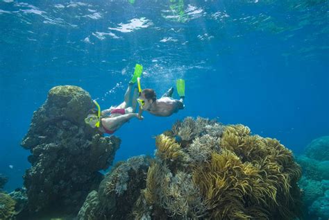 Great Barrier Reef Queensland Australia Travel Pacific