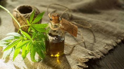 Once you've unlocked the area, you'll be able to get it from public events, region chests, ascendant chests and many other sources. How to Use CBD Tincture | Marijuana Seeds Canada