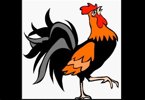 Gambar mewarnai ayam betina belajarmewarnai info. Kumpulan Sketsa Ayam dan Langkah Langkah Cara Menggambar Ayam