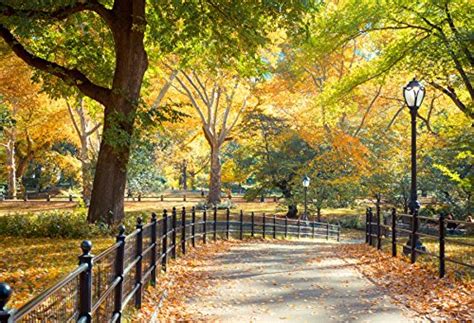 Laeacco New York City Central Park Photography Background 10x65ft