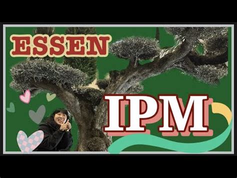 세계 원예 박람회 2023년 독일 에센 IPM 투어 2탄 Let s look over the ESSEN IPM YouTube