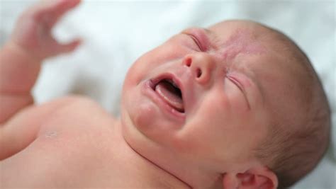 Closeup Crying Newborn Baby Stock Footage Video Royalty Free