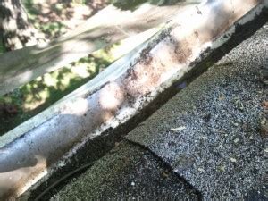Aag enterprises can upgrade your gutter system to make gutter clogs a problem of the past! Gutter Replacement Tucker