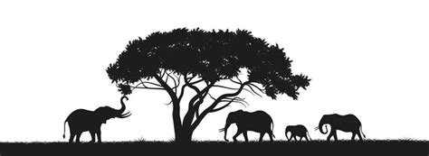 Savannah Silhouette Vector Images Over 3100