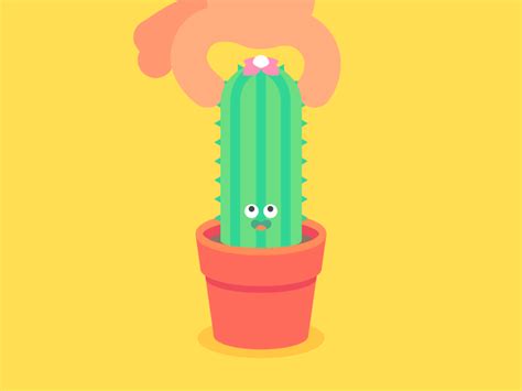 Cactus Motion Design Animation Animation Design Motion Design