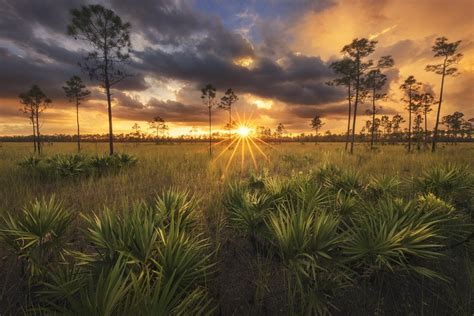 Everglades Np Everglades Best Landscape Photographers Everglades