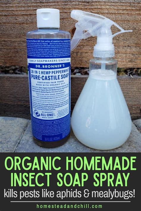 Homemade Organic Pest Soap Spray Recipe Kill Aphids Mealybugs And More