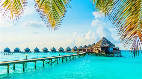 Grandes ahorros en hoteles y alojamientos en islas maldivas, maldivas. Consejos, documentación y requisitos para viajar a Islas ...