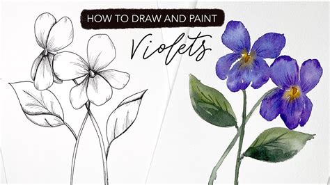 How To Draw A Violet Foundationpattern