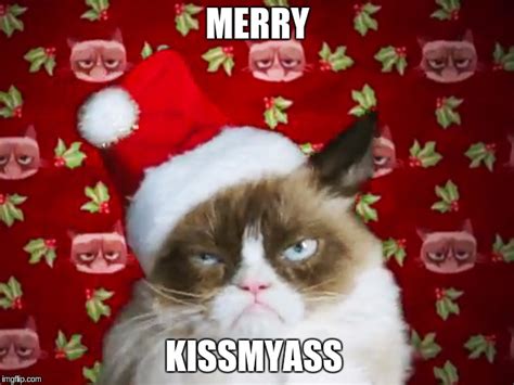 Image Tagged In Grumpy Cat Christmas Imgflip