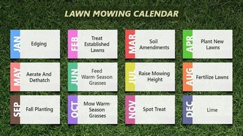Lawn Mowing Calendar For Texas Lawn Owners Gomow Residential Lawn