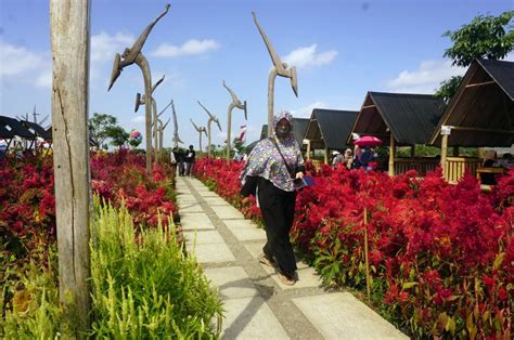 Ayam betutu khas bali betutu adalah lauk yang terbuat dari ayam atau bebek yang utuh yang berisi bumbu, kemudian dipanggang dalam api sekam. Kembangkan Wisata Rintisan, Desa di Tulungagung mulai ...