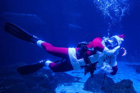 Christmas Underwater