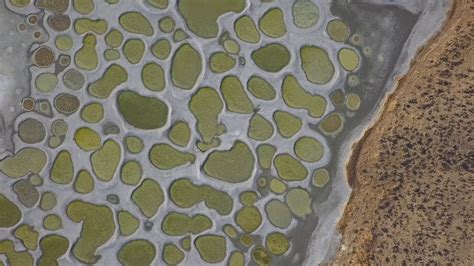 Spotted Lake Aerial Footage Youtube