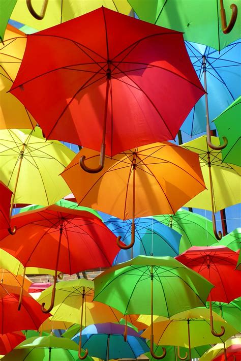 colourful umbrellas in the sun colourful display of umbrel… flickr