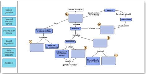 Mastering Biology Chapter Concept Map United States Map Sexiz Pix
