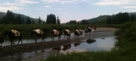 Join Teton Horseback Adventures for the unforgettable experience of
