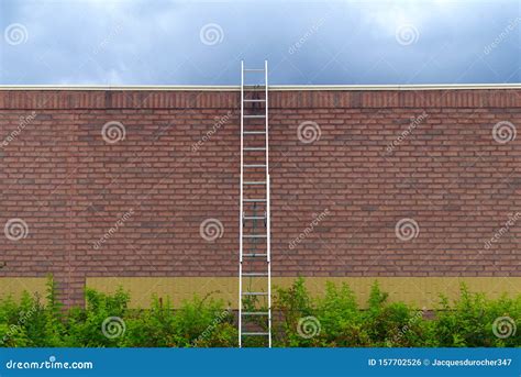 Brick Wall Ladder Career Business Success Concept Stock Photo Image
