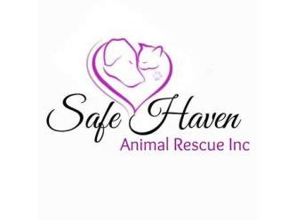 We have no time limit on a kitty's stay with us. Safe Haven Animal Rescue Inc - PetRescue