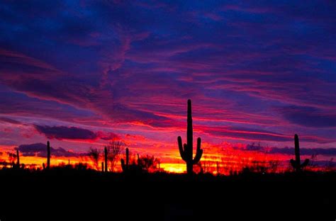 Arizona Sunset Arizona Sunset Desert Sunset Places To Go