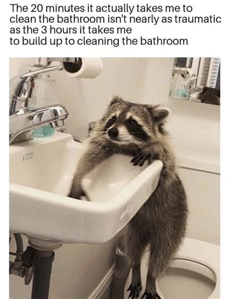 These Spring Cleaning Memes Will Put Some Pep In Your Step Distracted In Isolation Memes