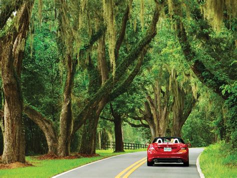 Canopy Roads • Visit Tallahassee