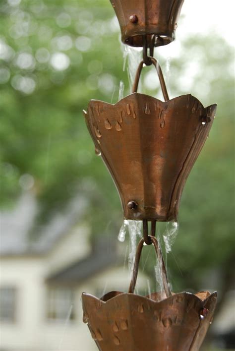 Garden Rain Chain Info: Tips On Creating A Rain Chain In Gardens gambar png