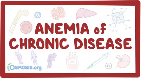 In adults, anemia of chronic disease is likely due to some common ailment such as urinary tract infection, a head or chest cold, mononucleosis, tonsillitis or strep, stomach or intestinal flu, and bacterial infections such as h. Anemia of chronic disease - Osmosis