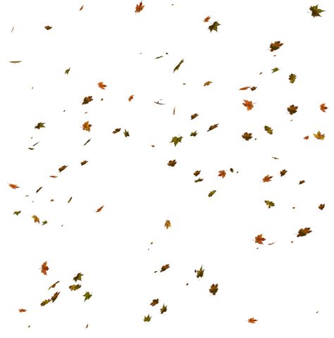 Falling Leaves Png Transparent Elements