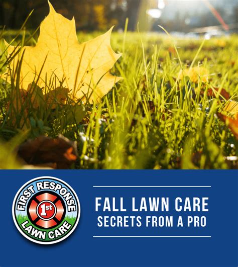 Fall Lawn Care Secrets Millikens Irrigation And Lawn Maintenance