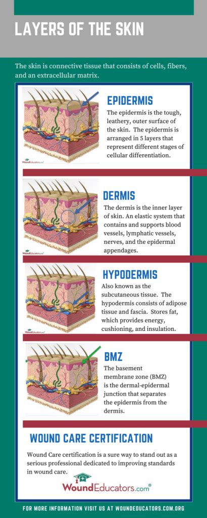 Wound Care Education How Do Wounds Affect Your Skin