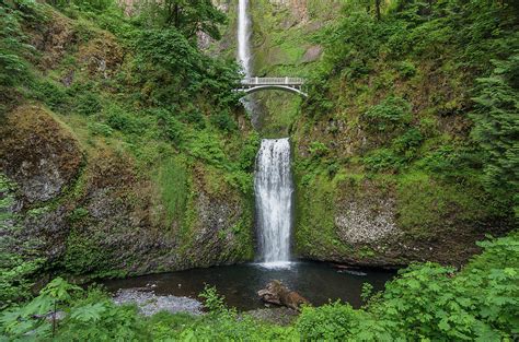 Multnomah Falls In Spring Photograph By Greg Nyquist Pixels
