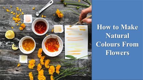 How To Make Natural Colours From Flowers Exploring Natures Palette