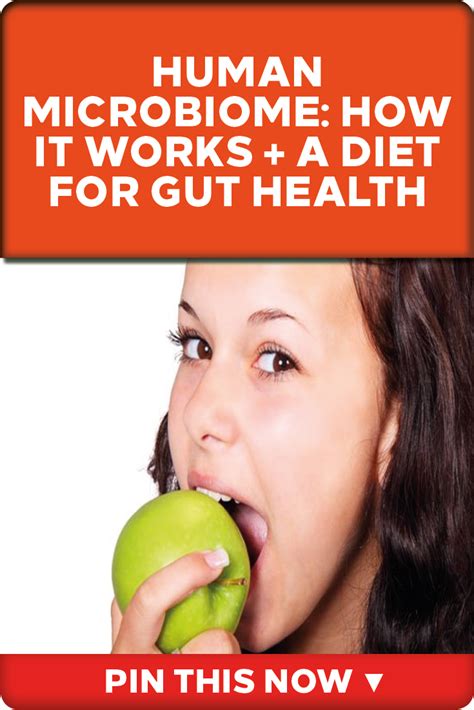 The Human Microbiome How It Works A Diet For Gut Health Gut Health