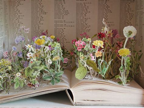 We did not find results for: ULLABENULLA: Altered Books Taken To A New Dimension