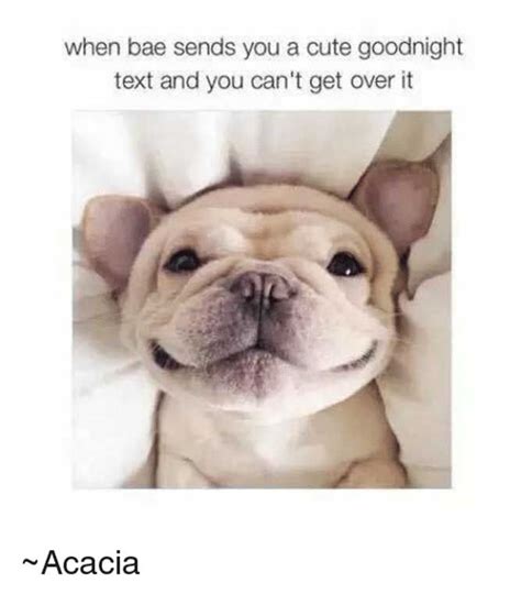 72 Good Night Memes Funny Good Night Sleep Well It Memes Dog