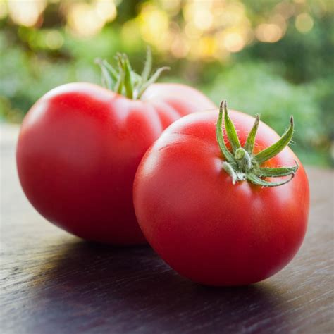 Check spelling or type a new query. Tomato Seeds - Marglobe | Vegetable Seeds in Packets ...