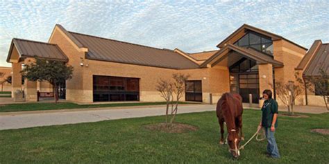It's our mission to provide a superior level of care and service to every pet that walks through our doors, and to help you weather the ups and downs of keeping them healthy. Department of Large Animal Clinical Sciences - Texas A&M ...