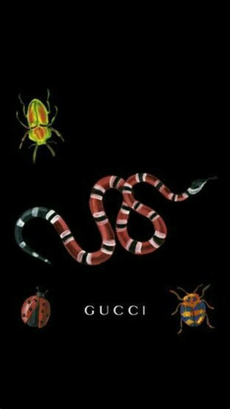 Gucci Bee Desktop Wallpapers Top Free Gucci Bee Desktop Backgrounds