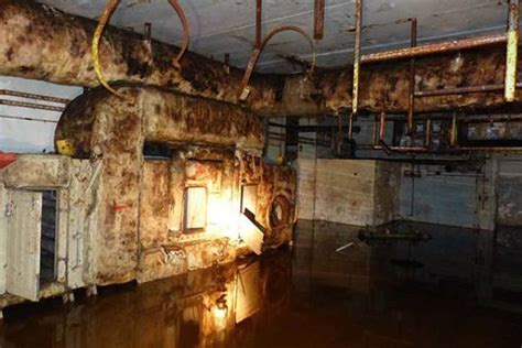 Scary Underground Tunnel Discovered Under A Neglected Home 26 Pics