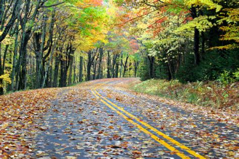 Fall Driving Tips Your Aaa Network