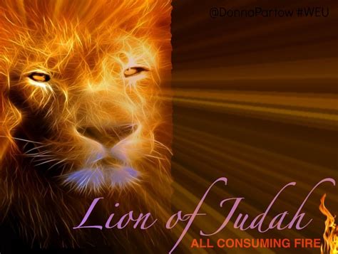 Lion Of Judah All Consuming Fire Christian Author Gods Mercy